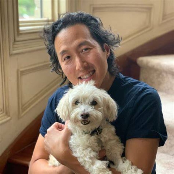 Anthony Youn Net Worth