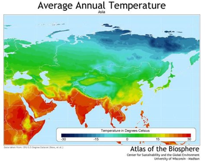 Asia the Temp