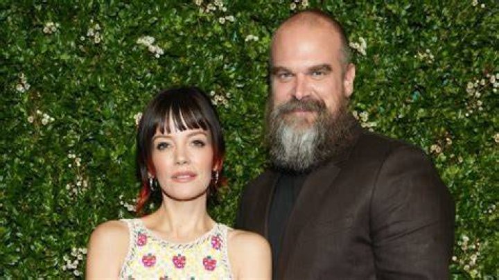 
David Harbour Wife Who is David Harbour Wife? 