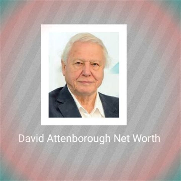 David Marriott Net Worth, Income, Salary, Earnings, Biography