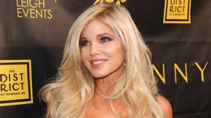 Donna D’Errico’s biography, fact, career, awards, net worth & life story