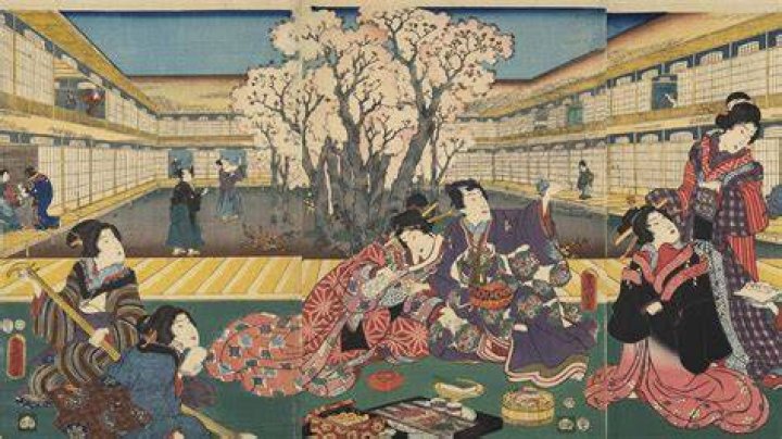 Edo Japan - A Taste of Authentic Japanese Cuisine