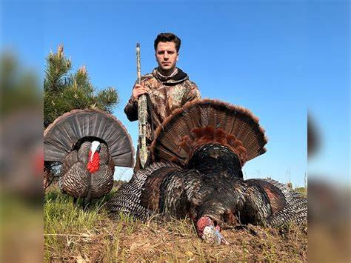 Gobbler