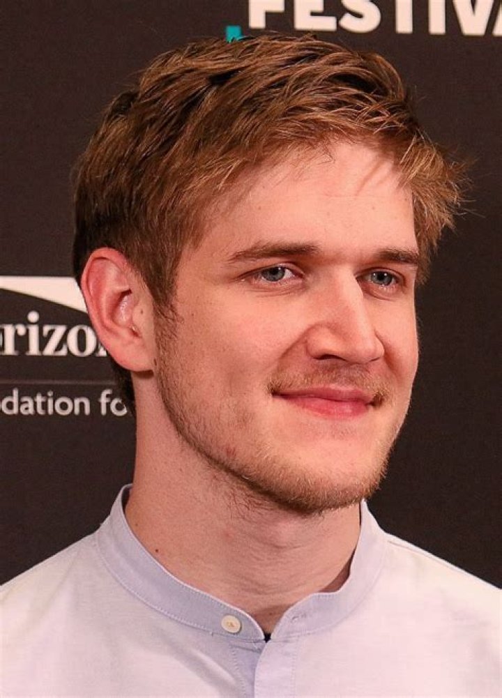 Is Bo Burnham Gay, Bi, Queer or Straight? What’s His Actual Sexuality?