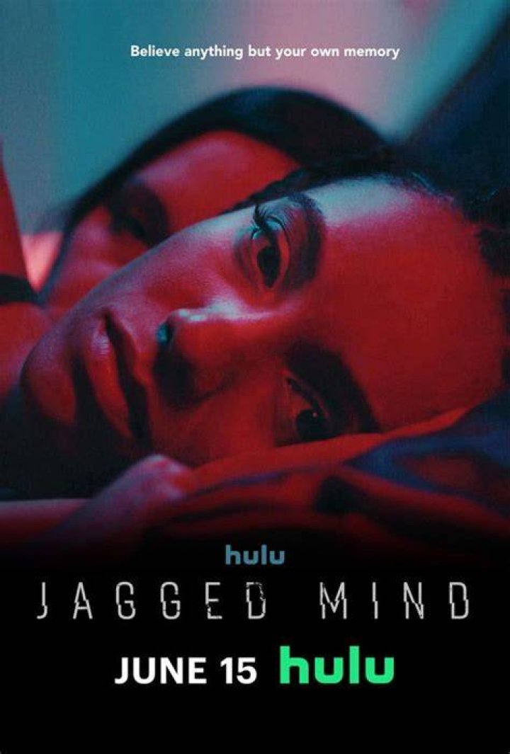 Jagged Mind's Ending Explained, Plot and Summary