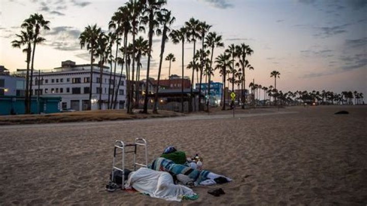 
Los Angeles officials challenge accuracy of latest homelessness count, demand audit: reports 