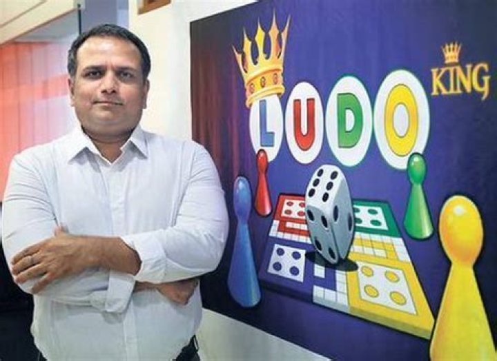 Ludo Mich Net Worth