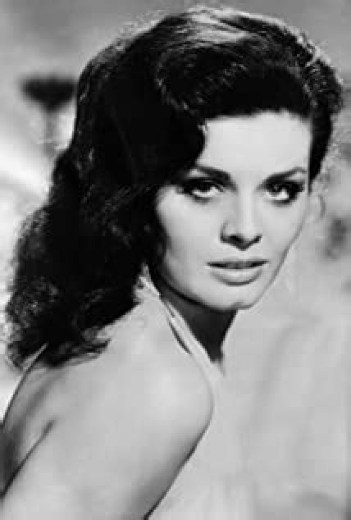 Marina Ghane Net Worth