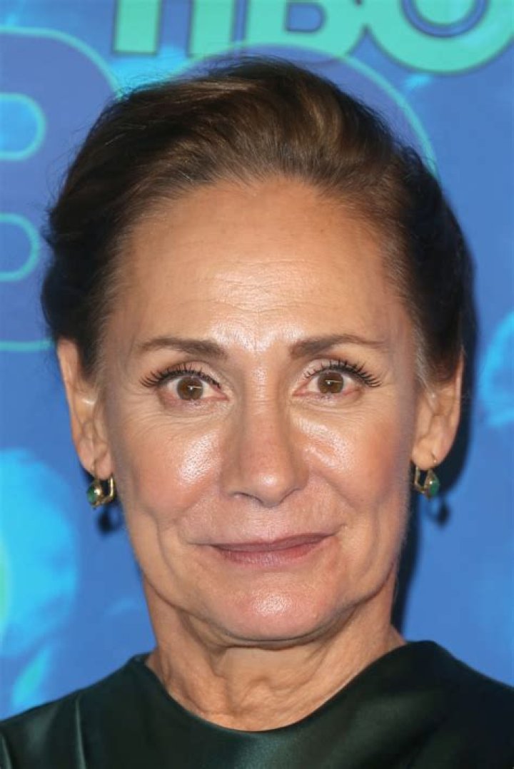 
Meet Laurie Metcalf Sister Linda Metcalf And Brother James Metcalf, Parents And Net Worth 
