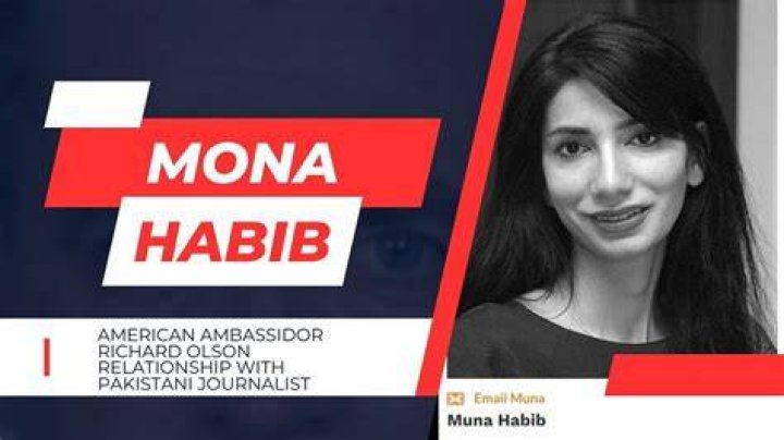 Mona Habib Journalist Wikipedia Age | Alleged Relationship With Richard Olson