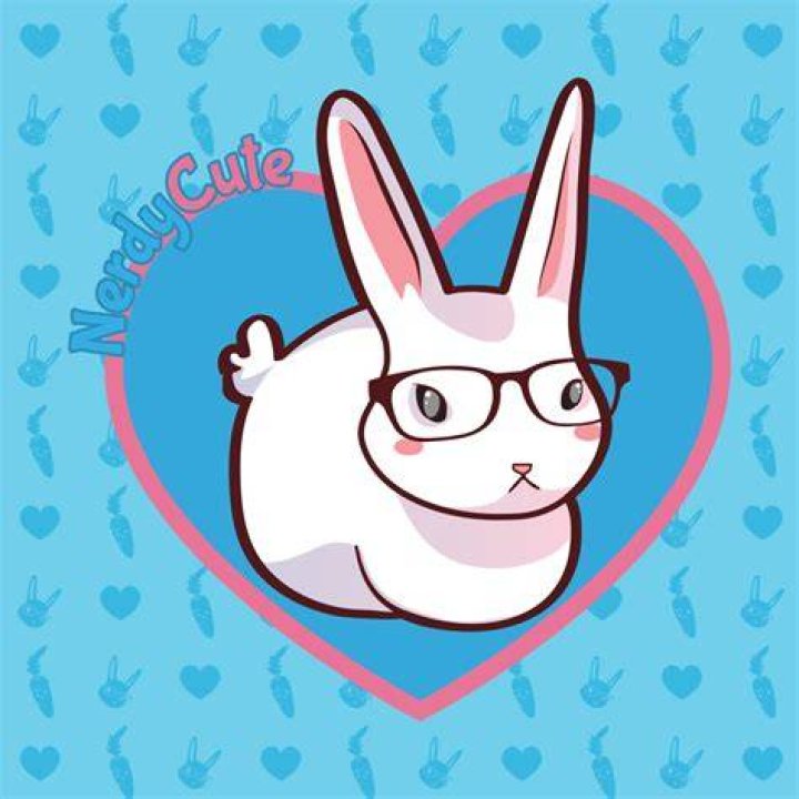Nerdy Bunny