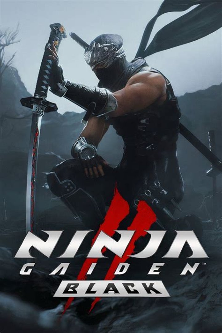 Ninja 1