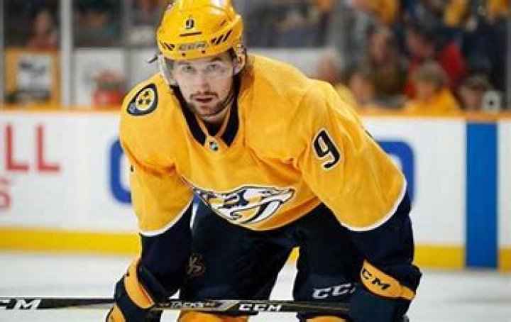 
No, Filip Forsberg Is Not Related To Peter Forsberg- Find Their Family Background 