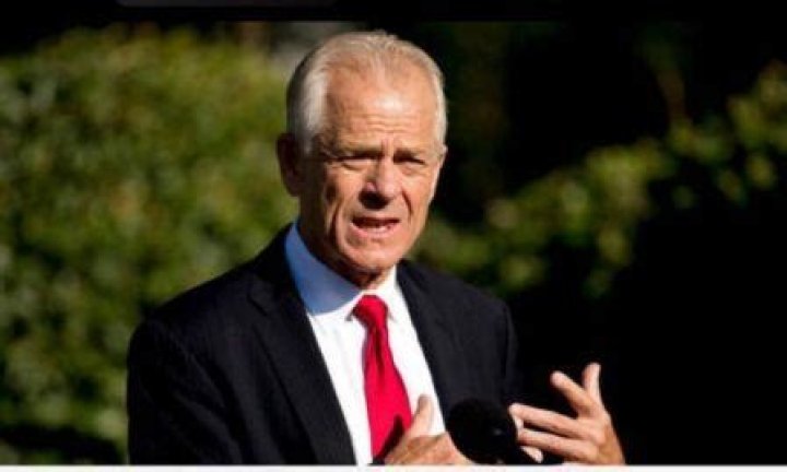 Peter Navarro Height, Weight, Net Worth, Age, Birthday, Wikipedia, Who, Nationality, Biography