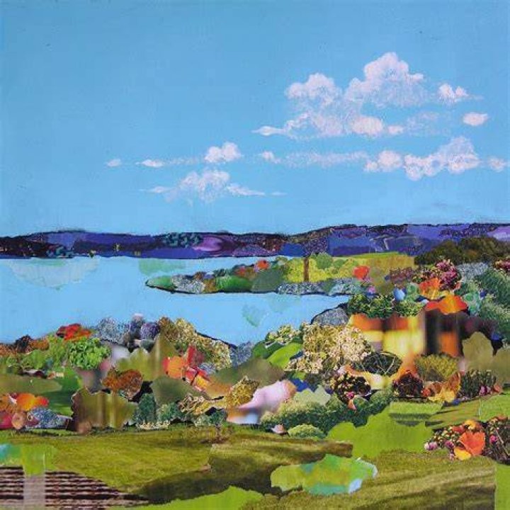 Robin Birrell