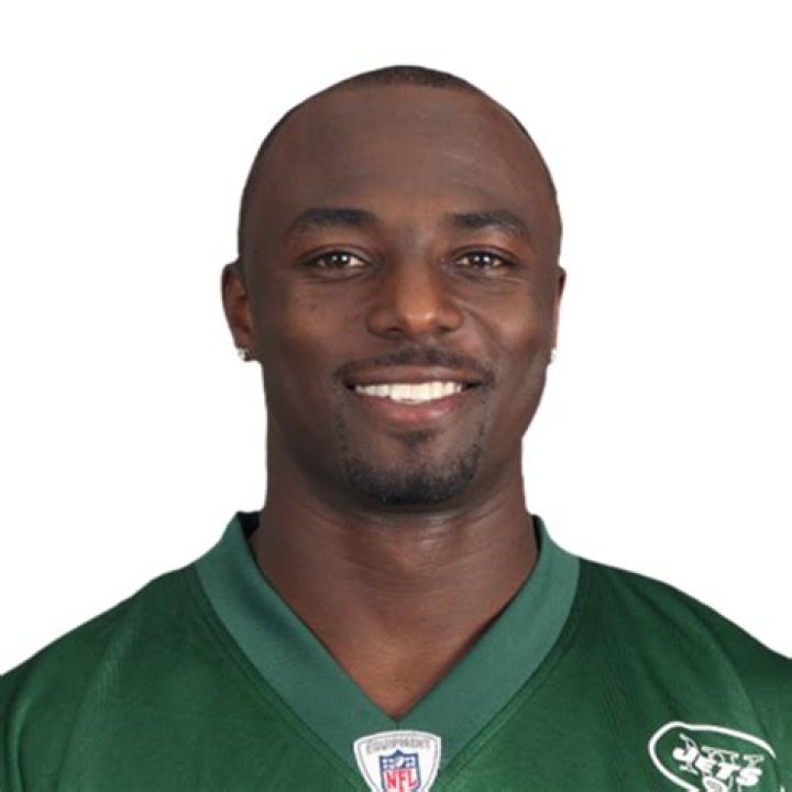 Santonio Holmes Net Worth, Income, Salary, Earnings, Biography