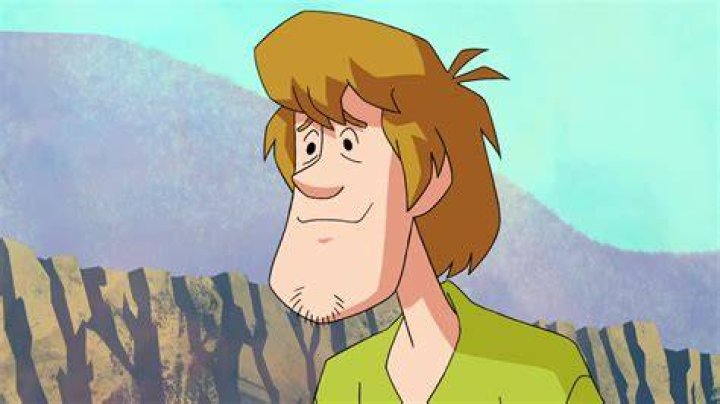 Scooby Doo / Shaggy