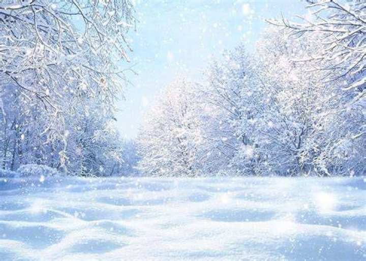 Snowy