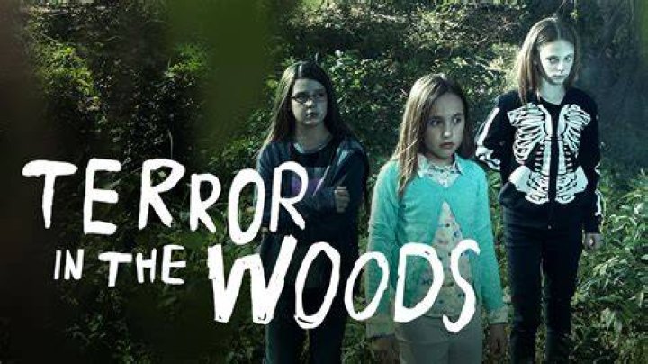 Terror in The Woods