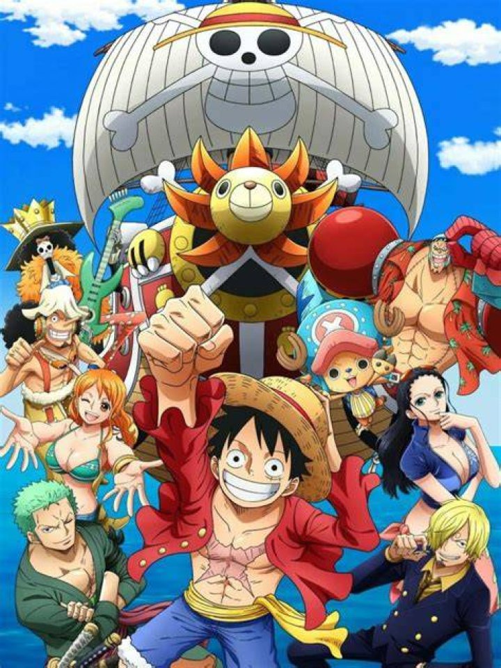 The Straw Hat Pirates: The Story of their Split and Reunion