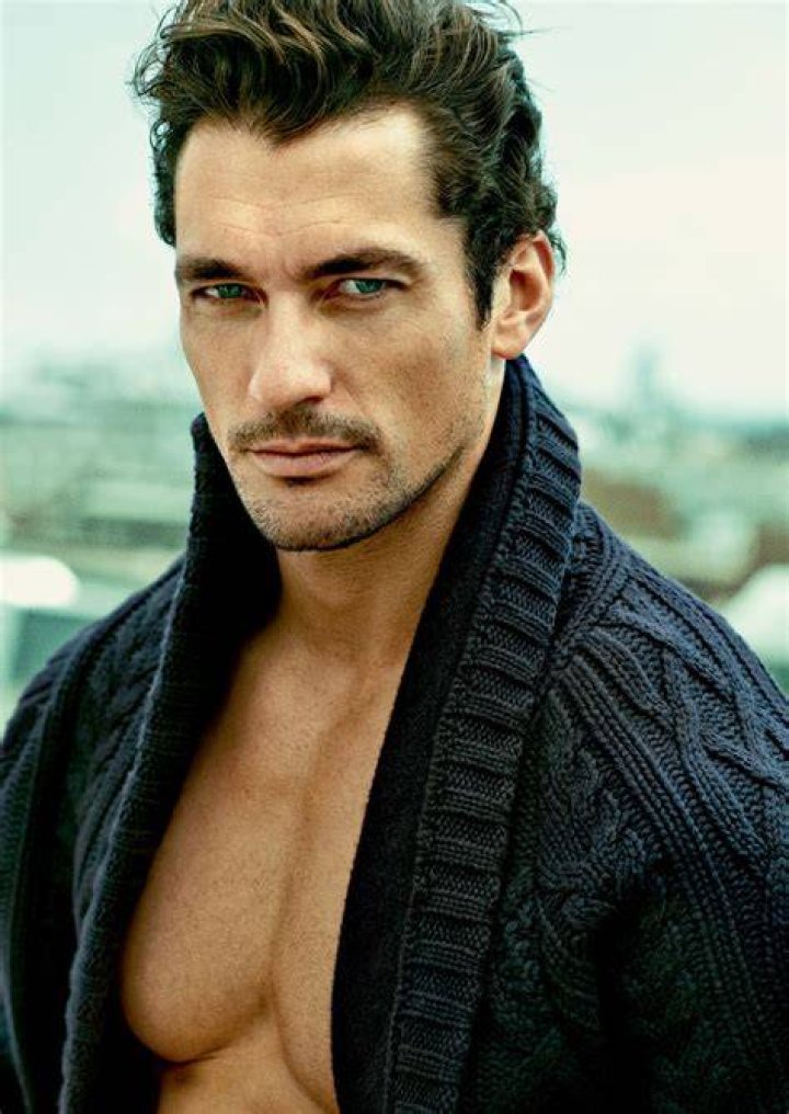 
The Untold Story Of English Male Model David Gandy 