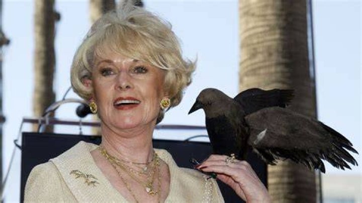 Tippi