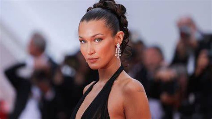 What is Bella Hadid's Ethnicity Know Details Bella Hadid Ethnicity...