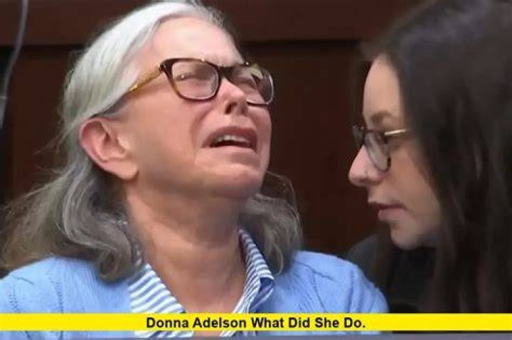 Who Is Donna Scrivo? What Did She Do To Her Son? Details
