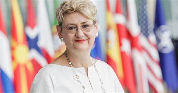
Who Is Oana Lungescu? 