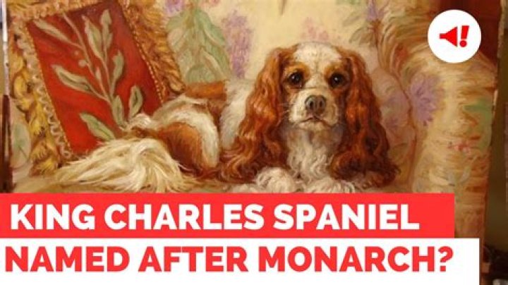 
Why is cavalier King Charles spaniel named after the British monarch? 